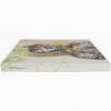 IMG_0092 02.49.29 Shinee - Dream Girl: The Misconceptions of You Album CD Onew Photocard 2013