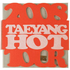 IMG_0107 Bigbang - 2008 Global Warning Tour Taeyang 1st Live Concert DVD Orange