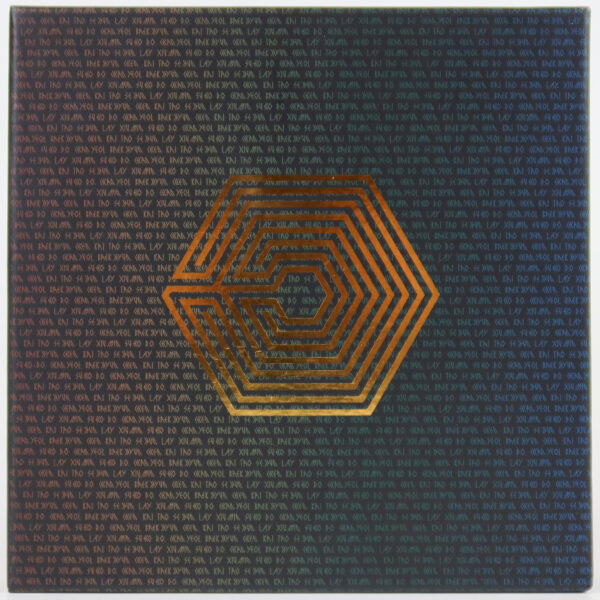 IMG_0129 (1) Exo - From. Exoplanet #1: The Lost Planet In Japan DVD Set 2015
