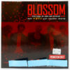 Bigstar - Blossom 1st Mini Album Signed Promo CD 2012