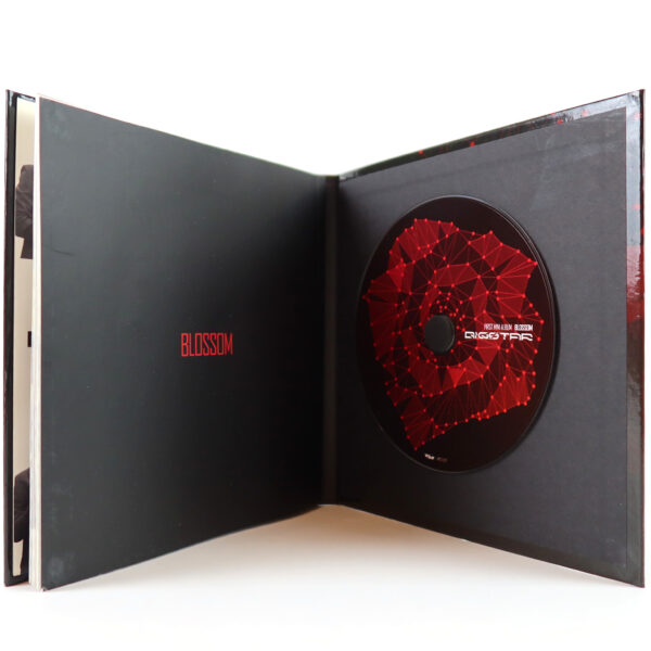 Bigstar - Blossom 1st Mini Album Signed Promo CD 2012