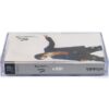 Rain - Bad Guy / n001 1st Album Cassette Tape 2002 [read]
