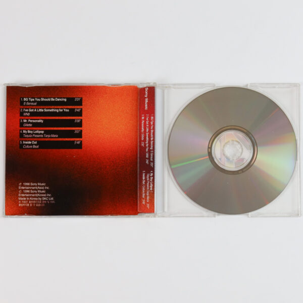 ZAP! The Dance Files Dance Compilation Album Sony Promo CD 1996