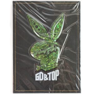 GD & TOP [Green Bunny Ver.] CD First Album Sealed G-Dragon Bigbang High