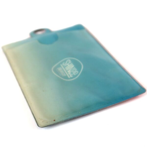 Shinee – Dream Girl Card Case 2013