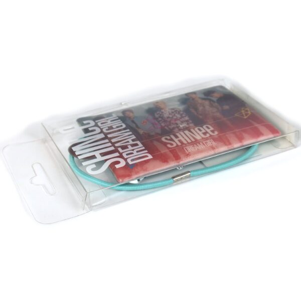 Shinee – Dream Girl Card Case 2013