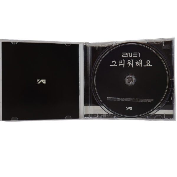 2NE1 - Missing You Single Album Promo CD 2013