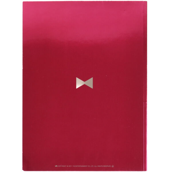 IMG_3433 15th Anniversary YG Family Concert Photobook 2011 2NE1 Bigbang Psy