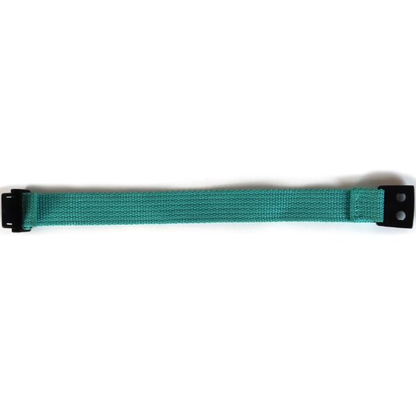 IMG_4346 Shinee World V Strap Bracelet Aqua Green