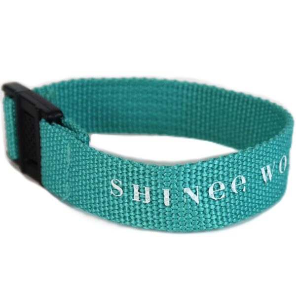 IMG_4347 Shinee World V Strap Bracelet Aqua Green