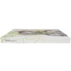 Shinee - Dream Girl: The Misconceptions of You Album CD No Photocard 2013
