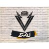 EvoL - Second Evolution 2nd Mini Album Promo CD 2013