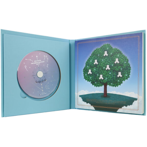 IMG_6363 GWSN - The Park In The Night Part Two 2nd Mini Album Promo CD No Photocards 2019