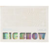 Bigbang - Big Show 2009 Live Concert Album CD [wear, read] Bigshow