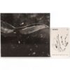 Exo - Sing For You Winter Album [Chinese Baekhyun Ver.] CD Sehun Photocard 2015